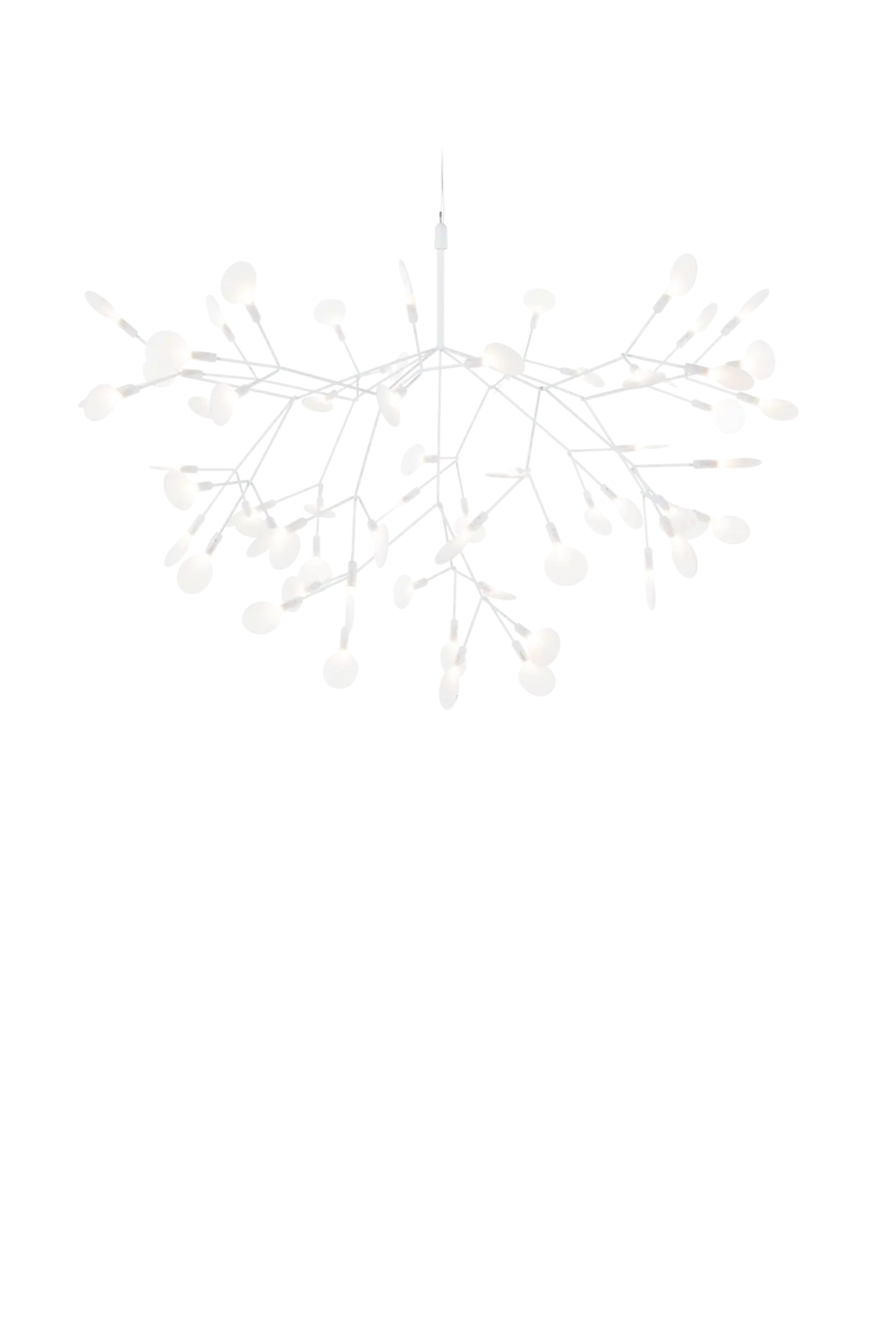 Front view Heracleum Suspended White